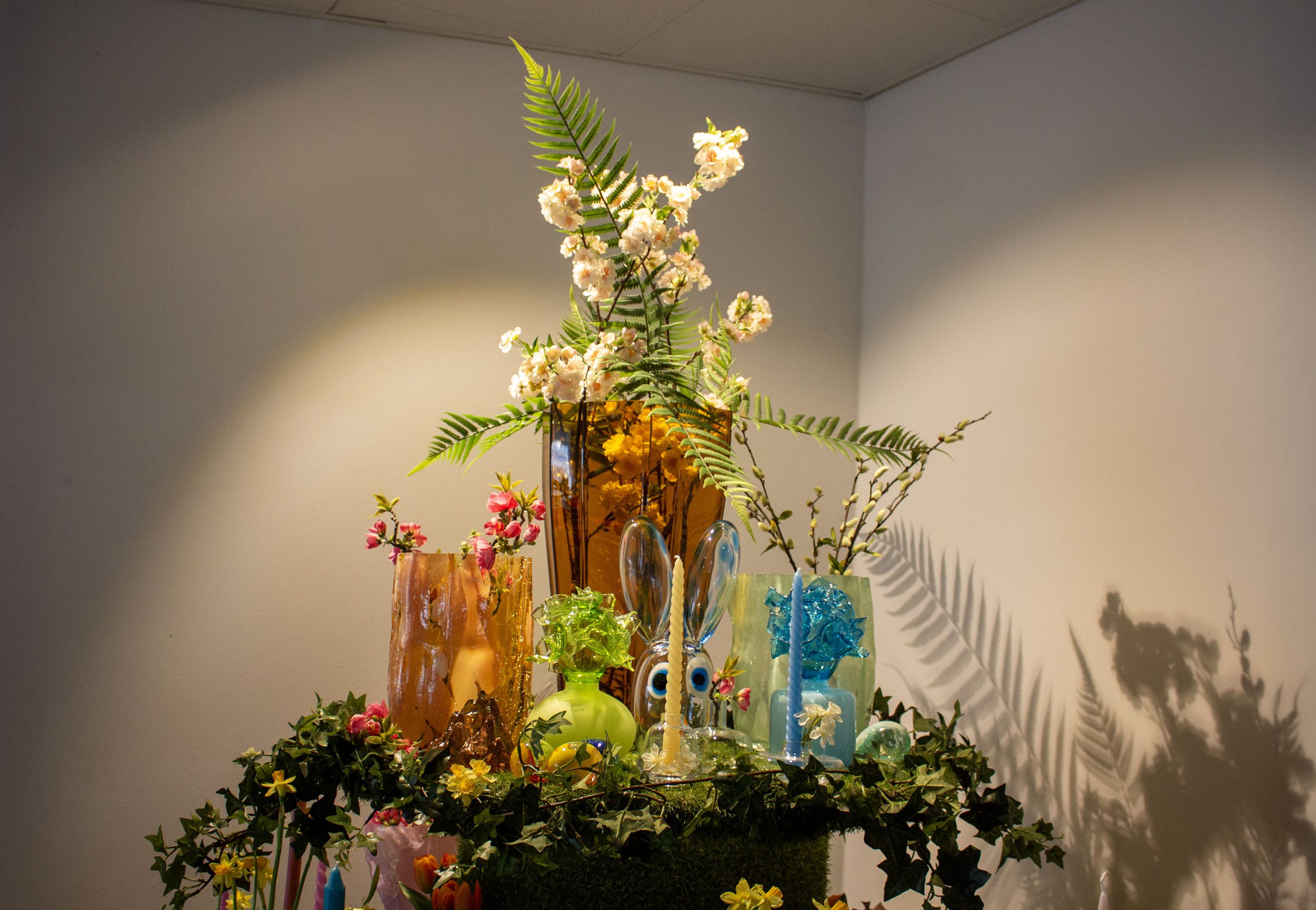 Erbjudande för seniorer